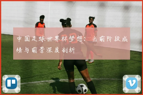 中国足球世界杯梦想：当前阶段成绩与前景深度剖析