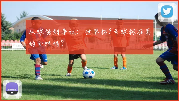 从球场到争议：世界杯5号球标准真的合理吗？