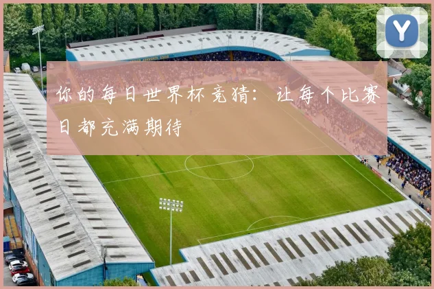 你的每日世界杯竞猜：让每个比赛日都充满期待